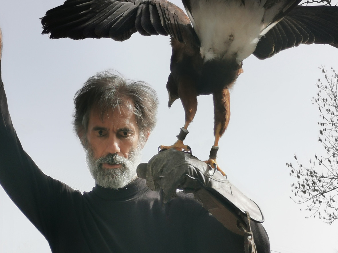 TIRESIAS before and after the events Futur Immoral /Paola Stella